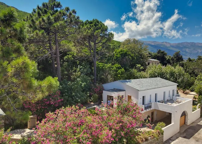 Szálloda Misincu Cagnano