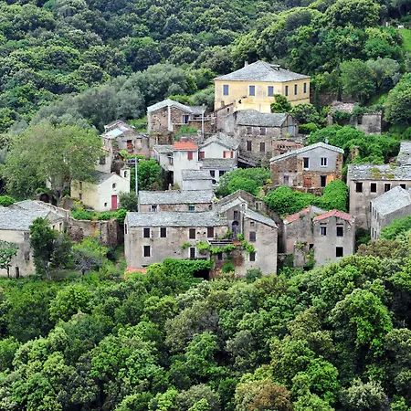 Misincu Hotel 5*